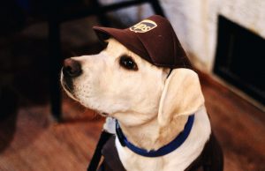 Dogs drive online engagement for UPS, Girl Scouts offer cookies with a message, and Facebook defends stance on political ads