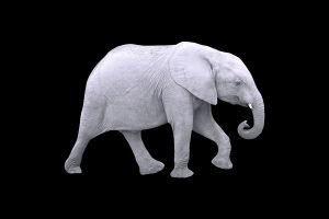 Why PR pros must address the big, white elephant in the room