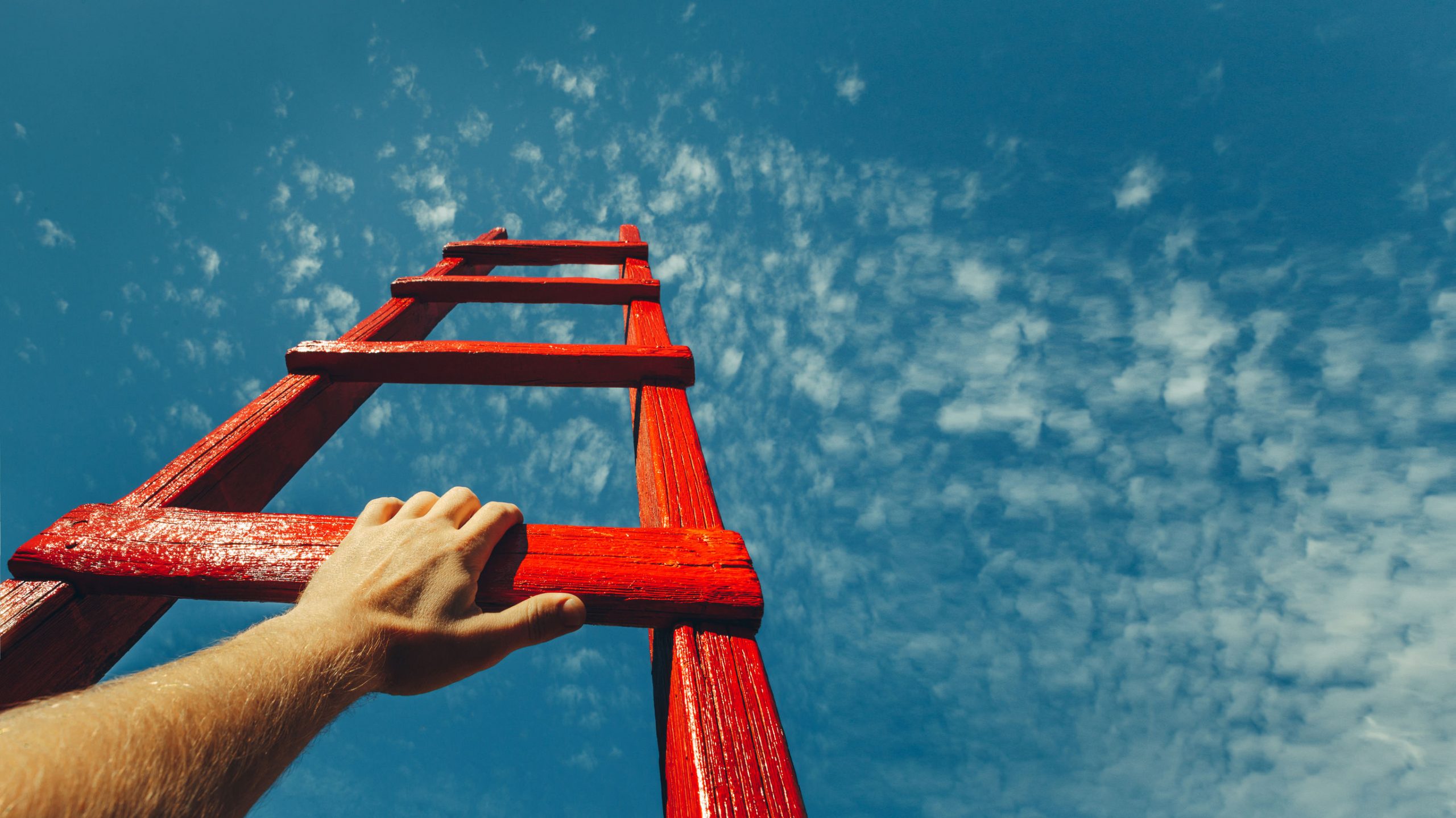 Climbing The Career Ladder