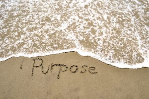 Is brand purpose overblown?