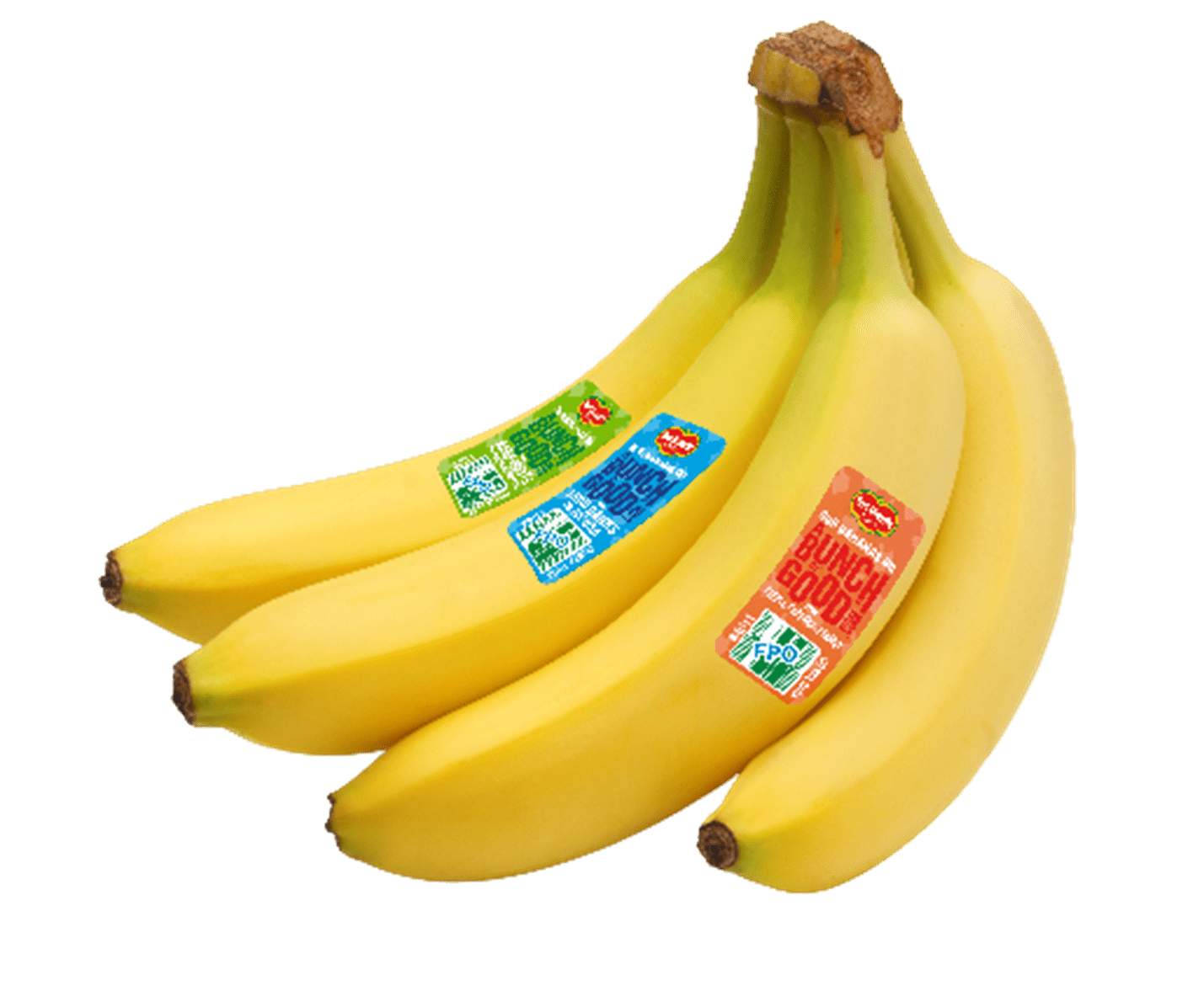 Bananefactor-del-Monte