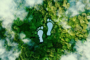 How client-focused agencies must account for ESG