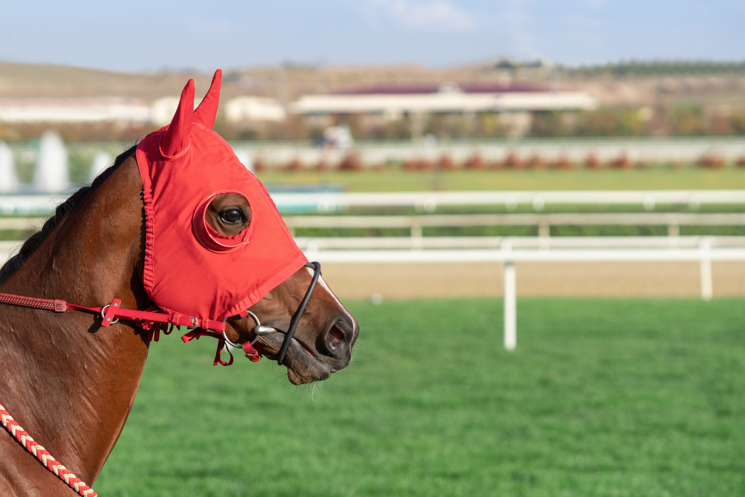 The Kentucky Derby's clever TikTok strategy has lessons for PR pros.