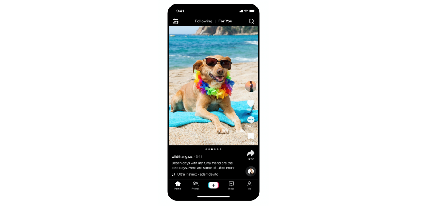 a TikTok still image of a dog on the beach
