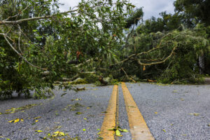 The Scoop: Hurricane Helene stresses communications in every way imaginable